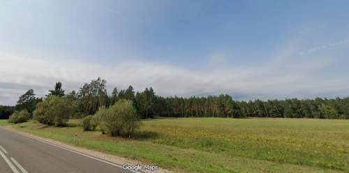 Sprzedam 60 letni las - Przechody przy trasie - DK65