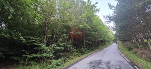 Las 85ar przy stoku narciarski, pomysł na glamping