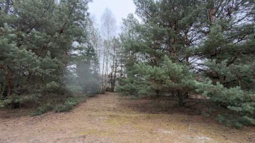Michałów - urokliwa działka budowlana 5500 m2