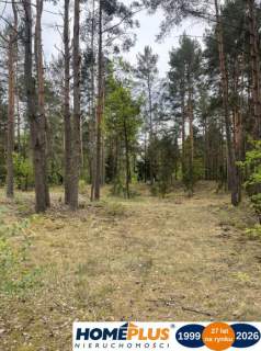 Działka w lesie 2064 m - letniskowa i całoroczna