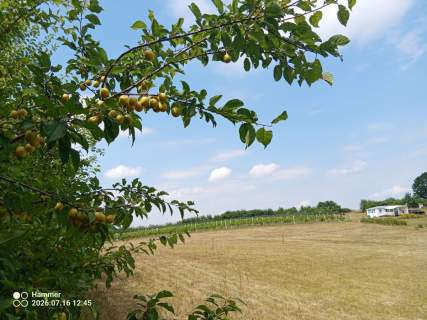 Działka z WZ, linią brzegową jeziora i winnicą