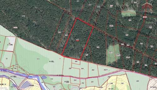 Działka leśna na sprzedaż, 31200 m2, Ruda Kozielska