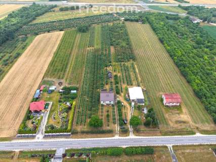 Dom 280 m2 z dochodowym sadem i chłodniami