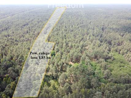 Inwestycja w dojrzały las sosnowy 1,85 ha budulec