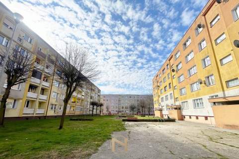 OGROMNY POTENCJAŁ- 3 POKOJE W DĘBNIE