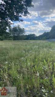 Działka pod zabudowę zagrodową pod lasem w Przegini Narodowej