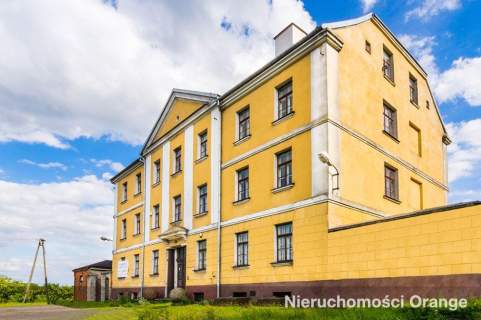 Historyczny budynek pod inwestycję, np. hotel