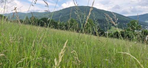 Widokowa działka - odkryj spokój w Beskidach