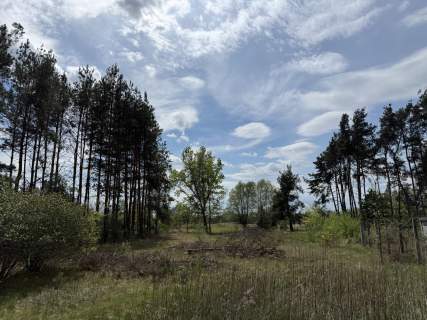 Siedlisko nad rzeką 50 km od Warszawy