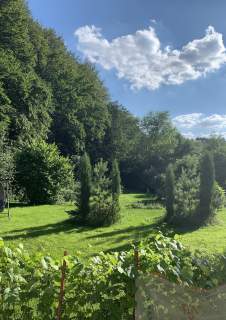 Dom wolnostojący 168m2 sąsiedztwo Ojcowskiego Parku 20 ar