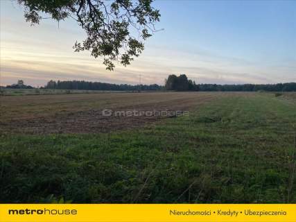 Działka rolno-budowlana 7964m2 - Kośminy