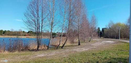 Nieruchomość nad zalewem z prywatnym lasem