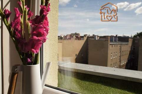 Studio pet-friendly - Śmiałego 29A, obok CH Turzyn