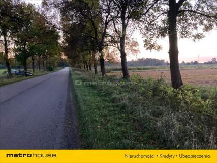 Działka rolna o pow. 6150 m2 - Kośminy