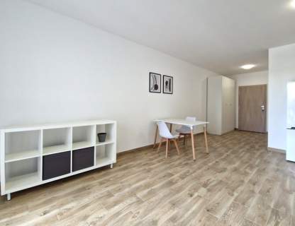 Rembielińskiego 33, duża kawalerka przy PŁ,Polesie