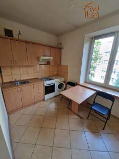 Duża kawalerka pet friendly, Marynarska 4, UŁ, ASP