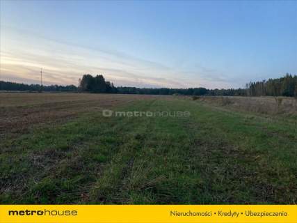 Działka rolna o pow. 6150 m2 - Kośminy