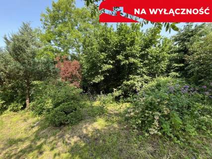 Siedlisko w Kaliszanach Kolonii gm. Józefów