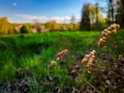 3,33 ha z lasem i strumykiem - teren pod zabudowę
