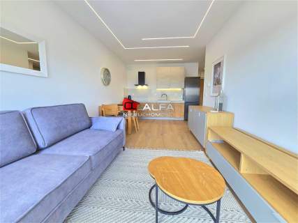 Do wynajęcia 2-pokojowy apartament w Świdnicy