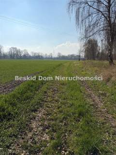 Działka na sprzedaż, 8000 m2, Czechowice-Dziedzice