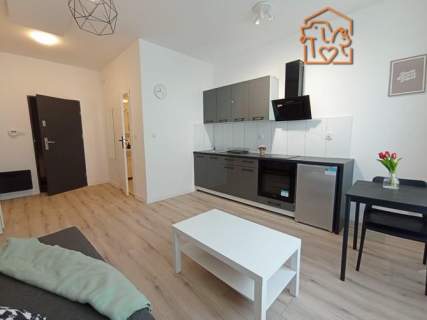 Kawalerka obok parku, pet-friendly- Grunwaldzka 36