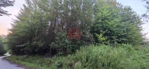 Las 85ar przy stoku narciarski, pomysł na glamping
