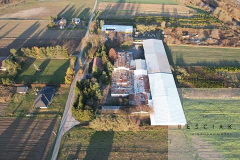 Do wynajęcia powierzchnie od 100-500m2