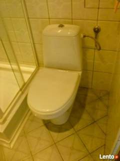 Wynajmę mieszkanie