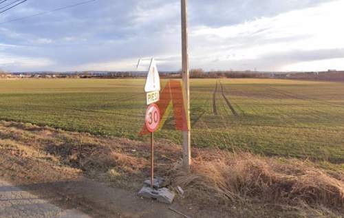 12ar Rybitwy