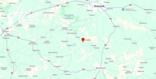 Las mieszany 5,68 ha starodrzew i młoda brzoza