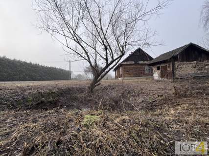 Drewniany dom z duszą na 17-arowej działce
