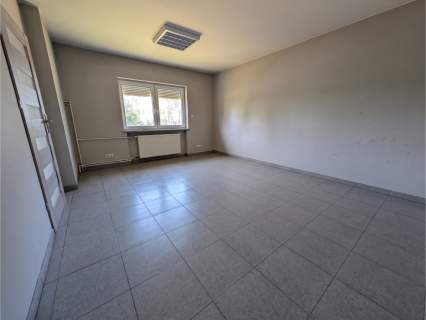 Hale 283 m2 / 13 ar / produkcja / magazyn / biura / przy S8
