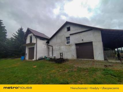 2 domy i stajnie w pobliżu Niesulic. Duża działka.
