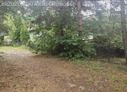 Wesoła, Stara Miłosna, dz. 3000 m2, mieszkaniowa