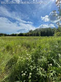 Wilanów, 9298 m2, WZ mieszkaniowa, jednorodzinna