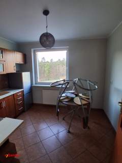 Komfortowe miszkanie do wynajęcia