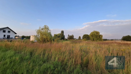 Działka Niechcice 1000m 