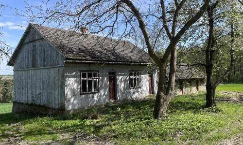Siedlisko na polanie, pod stadninę lub agroturystykę, 30 min