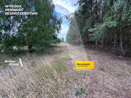 Działka na sprzedaż, 2800 m2, Wiejca