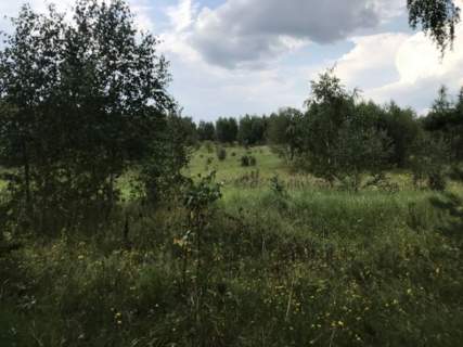 Działki z MPZP między dwoma jeziorami Mokiny, ty