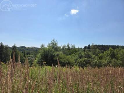 46 ARÓW W TUCHOWIE - BLISKO LASU, BLISKO MIASTA