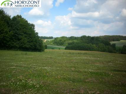 Działka budowlana Przodkowo - Bursztynik