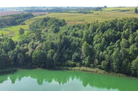 Działka na sprzedaż, 11000 m2, Stare Juchy