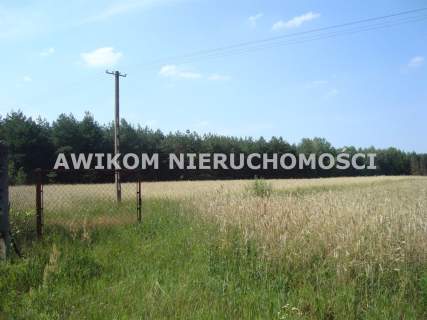 Działka siedliskowa na sprzedaż, 33900 m2, Borowiec