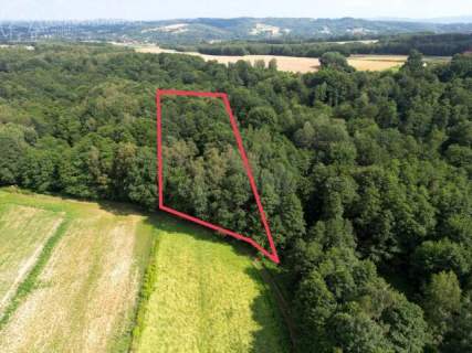 Twój prywatny las blisko Tarnowa - 98 arów spokoju i natury 