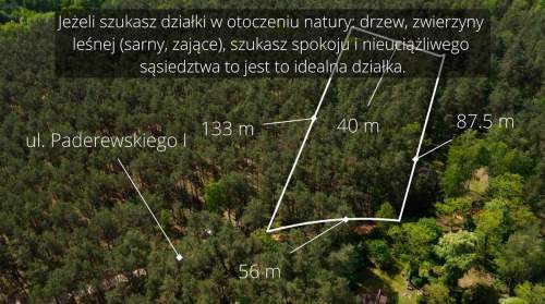 Działka leśna z możliwością zabudowy w MPZP