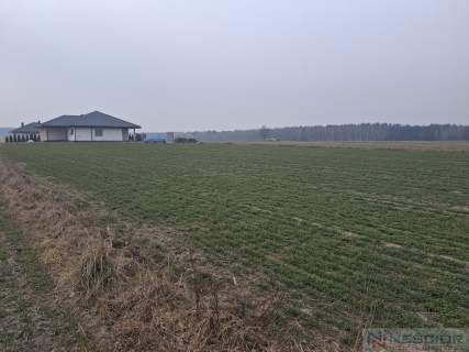 Działka budowlana 1000 m w Boroszkowie