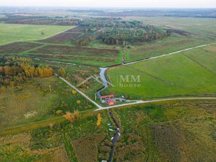 Plantacja jagody kamczackiej nad Zalewem Wiślanym.