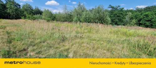 Działka budowlana 1361 m Mogilno Duże WZ